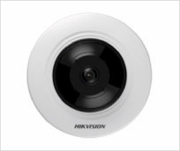 DS-P11(DS-2CD2955FWD-IS)